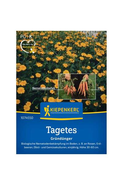 Kiepenkerl Seminte de tagetes Single Gold – protectie naturala anti-nematode,...