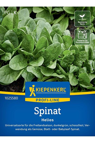 Kiepenkerl Seminte spanac Helios F1 – frunze verzi intens si gust delicat, cu...