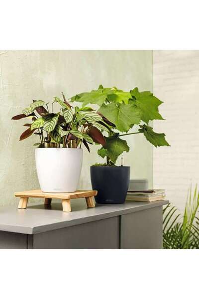 Lechuza Ghiveci cu auto-udare Classico Color 18, 2,5 L, alb mat