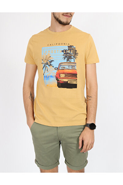 Evendi Tricou, Mustar