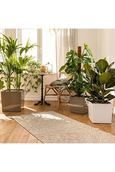Lechuza CUBE Premium 30 Self-Watering Planter, 12 L, Glossy White