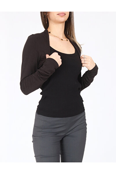 Evendi Bolero, Brown