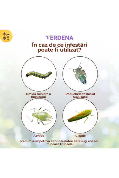 Solabiol Insecticide for Boxwood Pests, 50 ml,