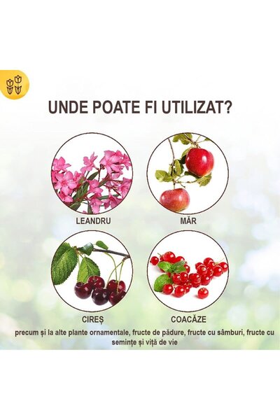 Solabiol spray insecticide for overwintering pests on fruit trees & ornamentals, 500 ml -