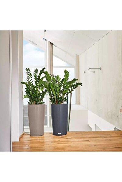 Lechuza CILINDRO Color 32 Self-Watering Planter, 13 L, Matte Black