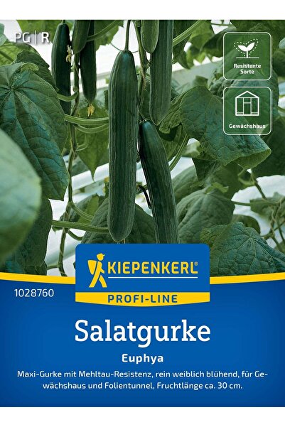 Kiepenkerl Seminte castraveti Euphya F1 – soi performant si rezistent, cu pro...