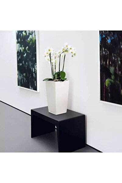 Lechuza CUBICO Color 22 Self-Watering Planter, 6 L, Matte White