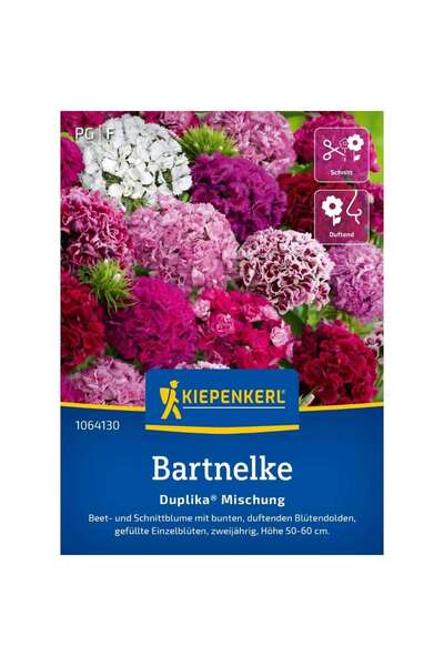 Kiepenkerl Seminte de barba-imparatului – amestec Duplika, flori bienale, aju...