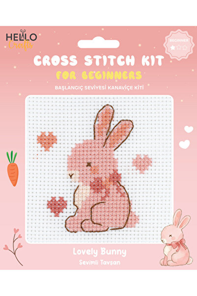 Hello Başlangıç Seviyesi Kanaviçe Kiti (iplik, iğne, kumaş) 15*15 cm HC554