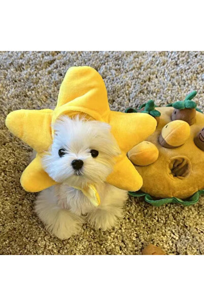 Choice star Pet Fish Head Hat Puppy Kittens Knitted Hat Party Cosplay Cute Refined Cat Hat Plush Elastic Wi