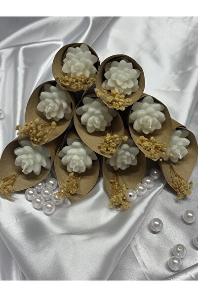 GIFT Külah model sukulent mum