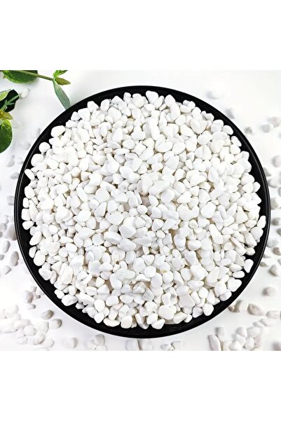 Choice حصى كريستالية 450 جرام، 1 رطل/450 جرام، حصى طبيعية للمناظر الطبيعية، ح...