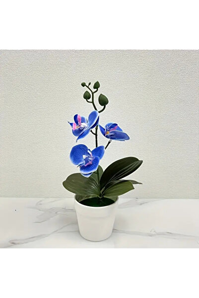Choice زهرة الأوركيد الاصطناعية الزرقاء، ديكور منزلي/مكتبي - عرض طاولة طعام غرفة المعيشة، زهرة المدخل