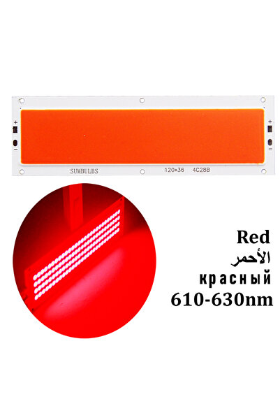 Choice لوحة مصباح شريطي LED COB أحمر 12 فولت تيار مستمر بقوة 12 وات - أبيض دا...