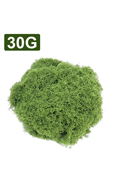 Choice 30 جرام 300-30 جرام نباتات خضراء صناعية منظر طبيعي صغير الحياة الأبدية...