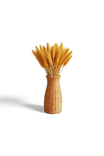 Dekora Çiçek باقة زهور طبيعية من نوع باشاك، زهور مجففة برتقالية اللون