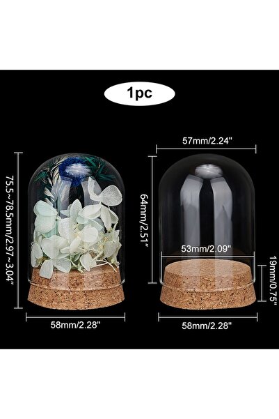 Choice AECH-17842 قطعة واحدة من قبة زجاجية بقاعدة من الفلين مقاس 5 × 4 بوصة، برطمانات زجاجية مزخرفة بقبة زجاجية