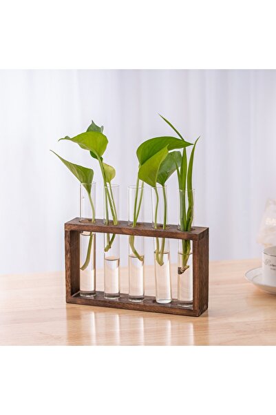 Choice Style B-5 3/5 Tubes Wall Hanging Hydroponic Plant Propagation Glass Va...