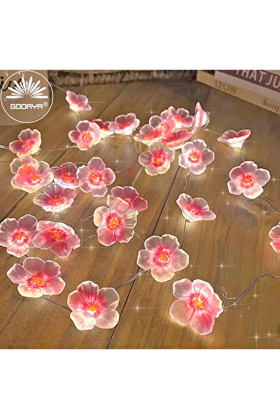 Choice سلسلة أضواء خرافية على شكل زهرة الكرز وردية اللون، 30 مصباح LED-USB، م...