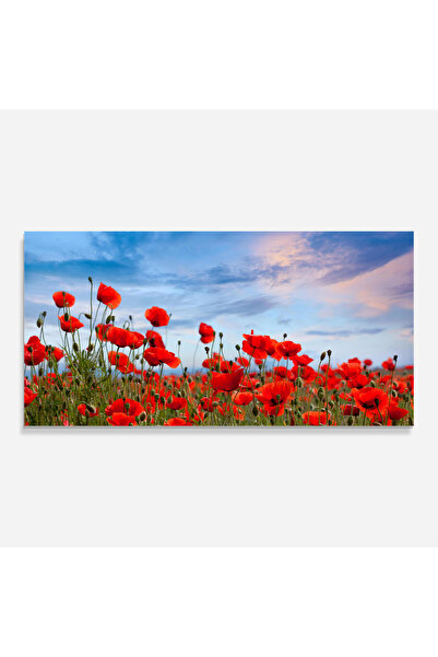 Arthub Kitchen Glass Panel, Stove Protection, Heat Resistant, Flowers, Poppy Field