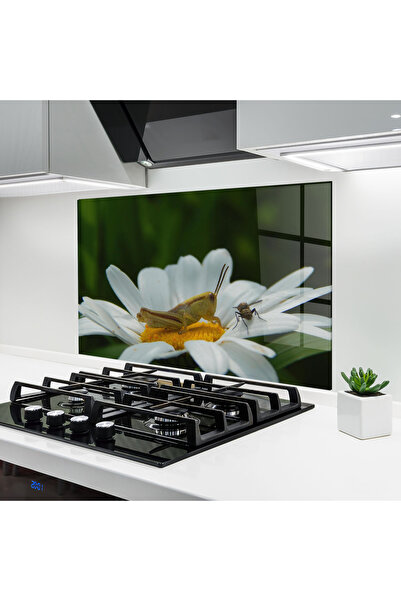 Arthub Kitchen Glass Panel, Stove Protection, Heat Resistant, Flowers, Cricket On Daisy