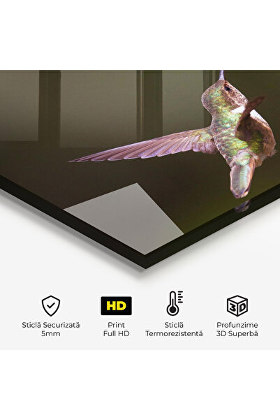 Arthub Kitchen Glass Panel, Stove Protection, Heat Resistant, Flowers, Exotic Flower Bird