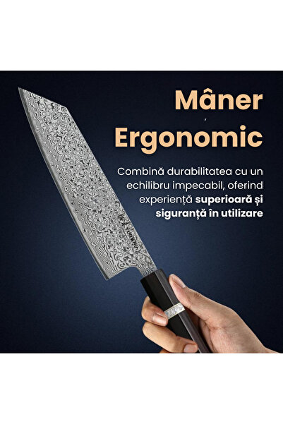 NEOSOR Kiritsuke Professional Knife, 73 Layers Damascus Steel, Ebony Handle, Manual Sharpening, Hardness 60±2HRC