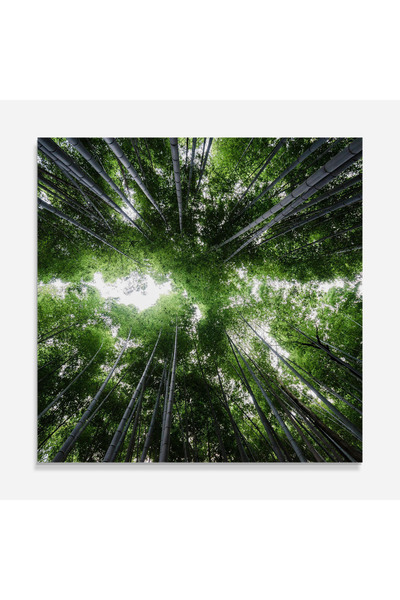 Arthub Kitchen Glass Panel, Stove Protection, Heat Resistant, Landscapes, Green Trees Forest