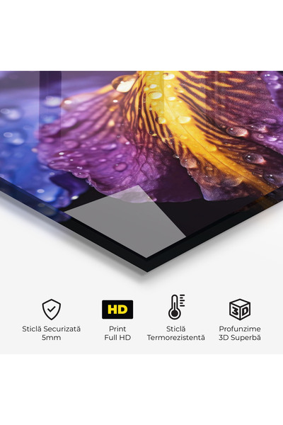 Arthub Kitchen Glass Panel, Stove Protection, Heat Resistant, Flowers, Close Up Iris After Rain