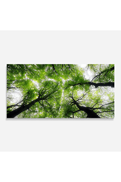 Arthub Kitchen Glass Panel, Stove Protection, Heat Resistant, Landscapes, Forest Green Tree