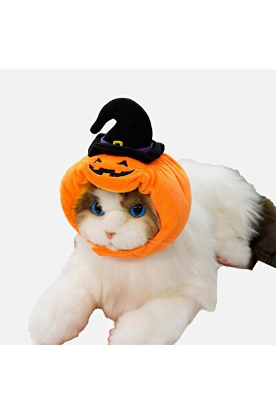 Morvena Picks Costum de Halloween pentru animale de companie - pălărie de dov...