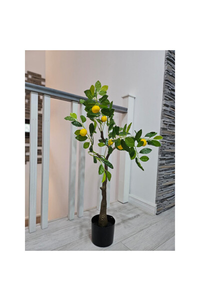 OEM Lamai 100cm