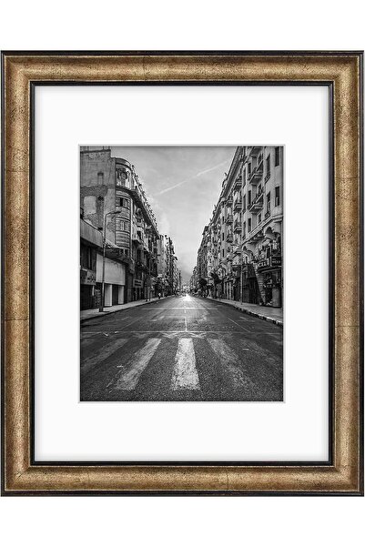 Golden State Art 11x14 Photo Frame, Dark Gold Brown & Bronze Pewter Panel with White Mat and Real Gl