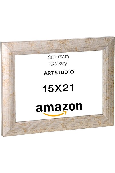 Generic Decorative Photo Frame for Home and Office Display (Champ-Line, 15x21)