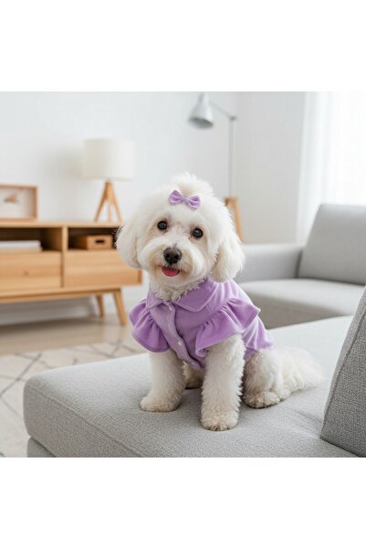 OEM Fluffy dress for small and medium pets, snap closure system, XINA011
