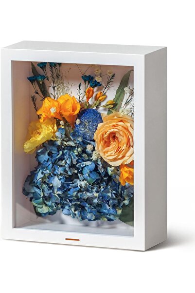wisedry 8 x 10 Inch Flower Deep Shadow Box Frame (White Acrylic)