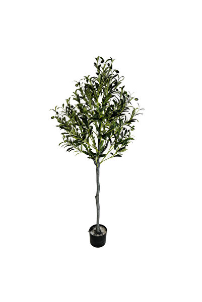 OEM Olive 150cm
