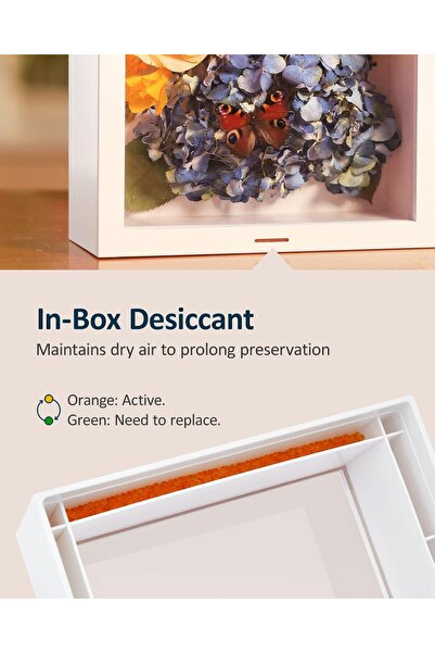 wisedry 8 x 10 Inch Flower Deep Shadow Box Frame (White Acrylic)