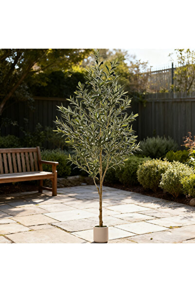 SCHENKERO 210cm (6.9ft) Artificial Olive Tree Reinforced Trunk Wind-Resistant Commercial Garden Use.