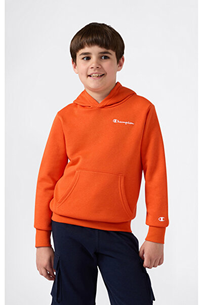 Champion Icons Hooded Sweatshirt