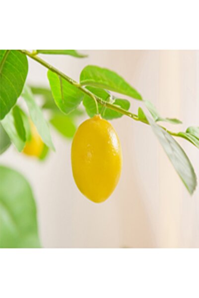 SCHENKERO 120cm (3.9ft) Artificial Lemon Tree Faux Lemons PE Leaves Compact Kitchen Window Sill.