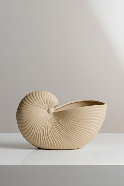 IONIC HOUSE Conch shell / Deniz Kabuğu Dekoratif Tabak