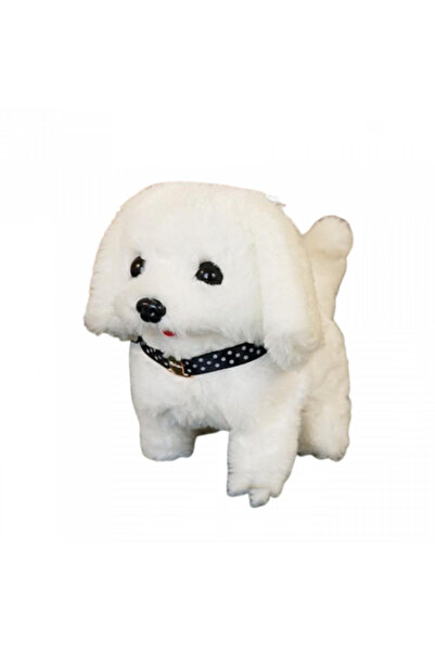 OEM Plush toy, Capybara, with turtle-shaped backpack, 38 cm