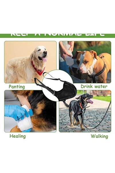 OEM Luckwaii Dog Muzzle, XL, 26.9-30.5 cm, breathable polyester, adjustable strap and included collar, b