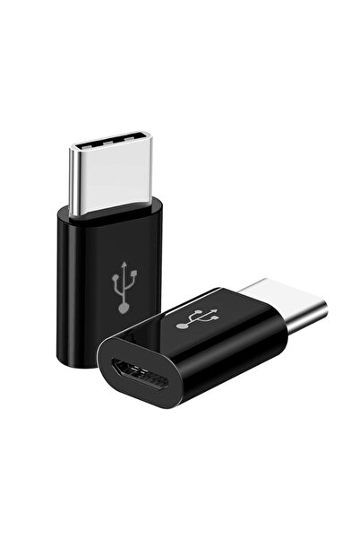 Skygo ZR393 Micro Type-C Çevirici