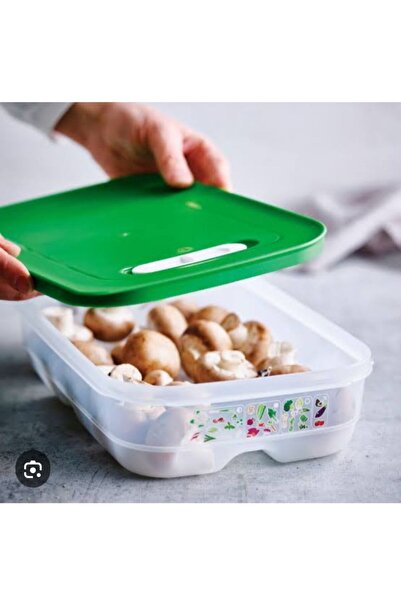 Tupperware sera yeşillik saklama kabı
