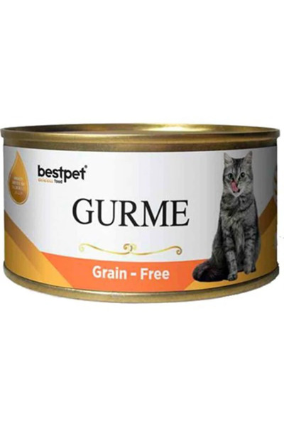 Bestpet Gurme Jöleli Somonlu Yetişkin Konserve Kedi Maması 1 Adet-100 Gr