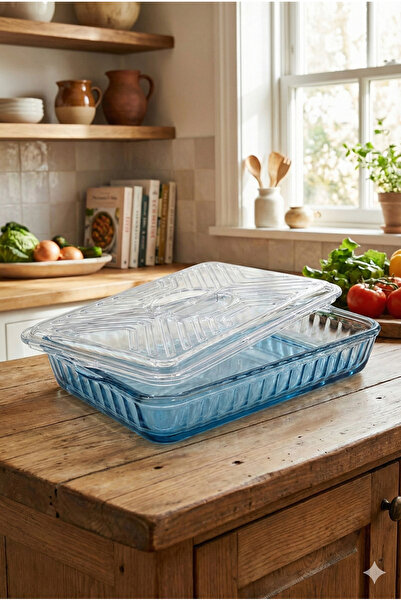 ARMESA Cover for Rectangular Borcam