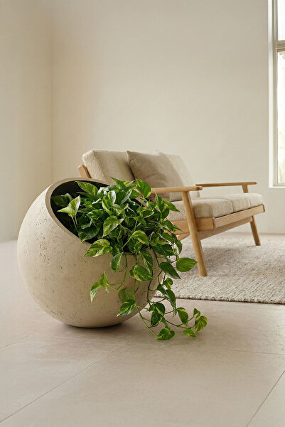 DEQQU Petra Obliq Eğik Küre Hafif Beton Saksı 30x30cm Doğal Taş Dokulu İç-Dış...