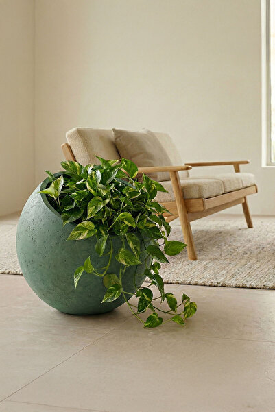 DEQQU Petra Obliq Eğik Küre Hafif Beton Saksı 30x30cm Doğal Taş Dokulu İç-Dış...